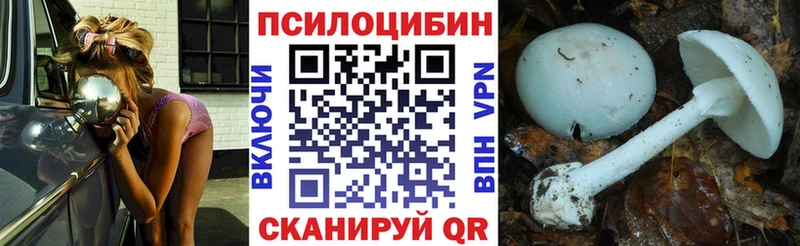 Псилоцибиновые грибы Psilocybe  Знаменск 
