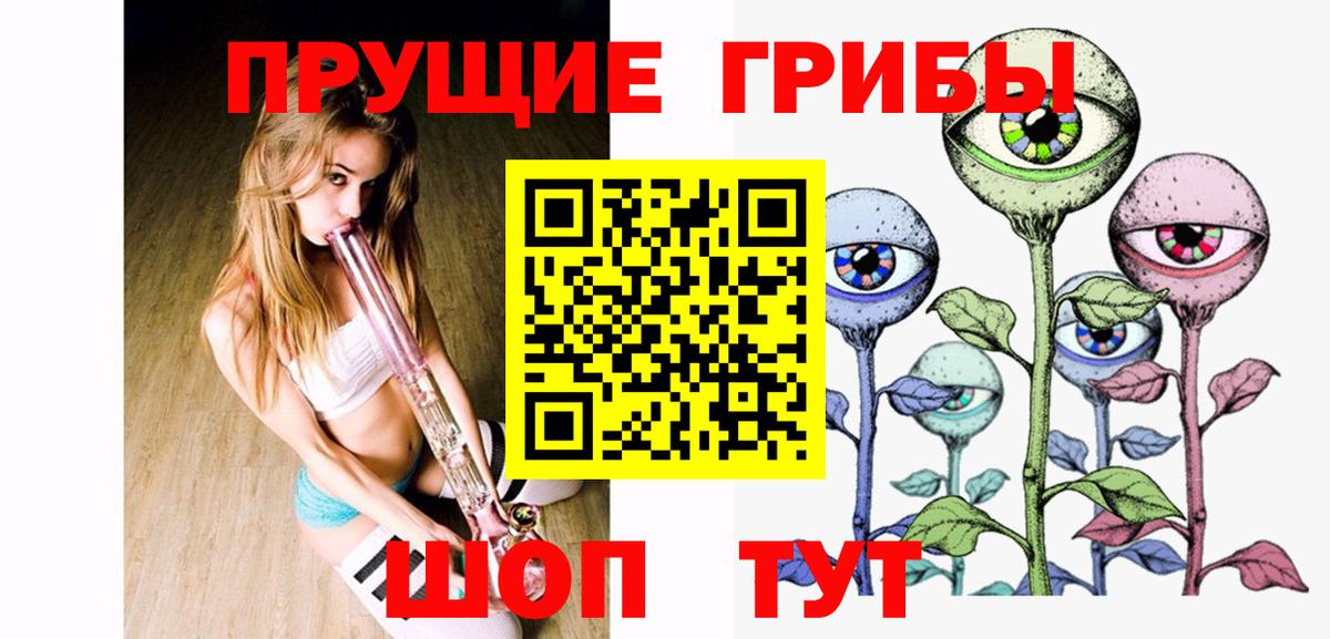 Псилоцибиновые грибы MAGIC MUSHROOMS  наркотики  Псилоцибиновые грибы GOLDEN TEACHER  Знаменск 