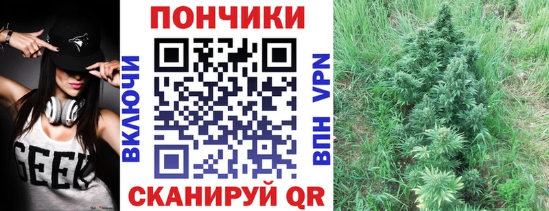 Конопля индика  как найти наркотики  площадка Telegram  Знаменск 